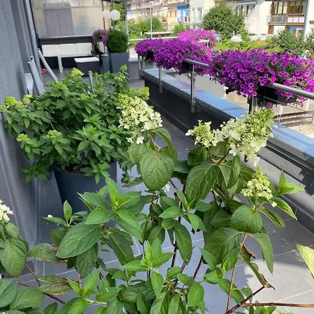 Preiswertes Stilvolles Im Privaten Haus Mit Grossem Schoenem Modernem Gemeinschaft Badenzimmer Daire Lörrach