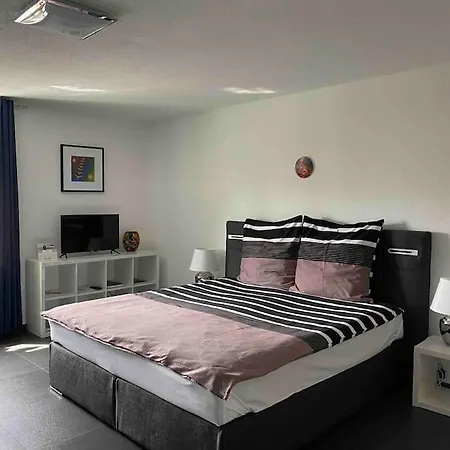 Preiswertes Stilvolles Im Privaten Haus Mit Grossem Schoenem Modernem Gemeinschaft Badenzimmer Daire